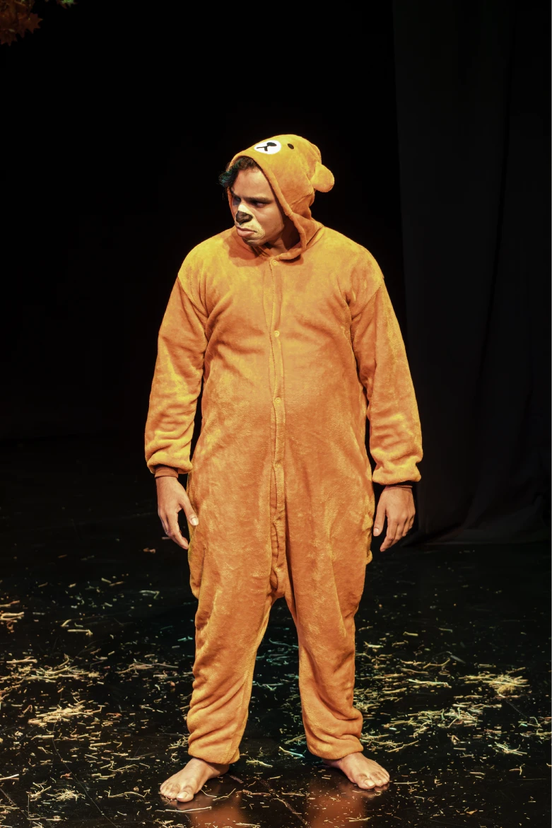 performances (3)