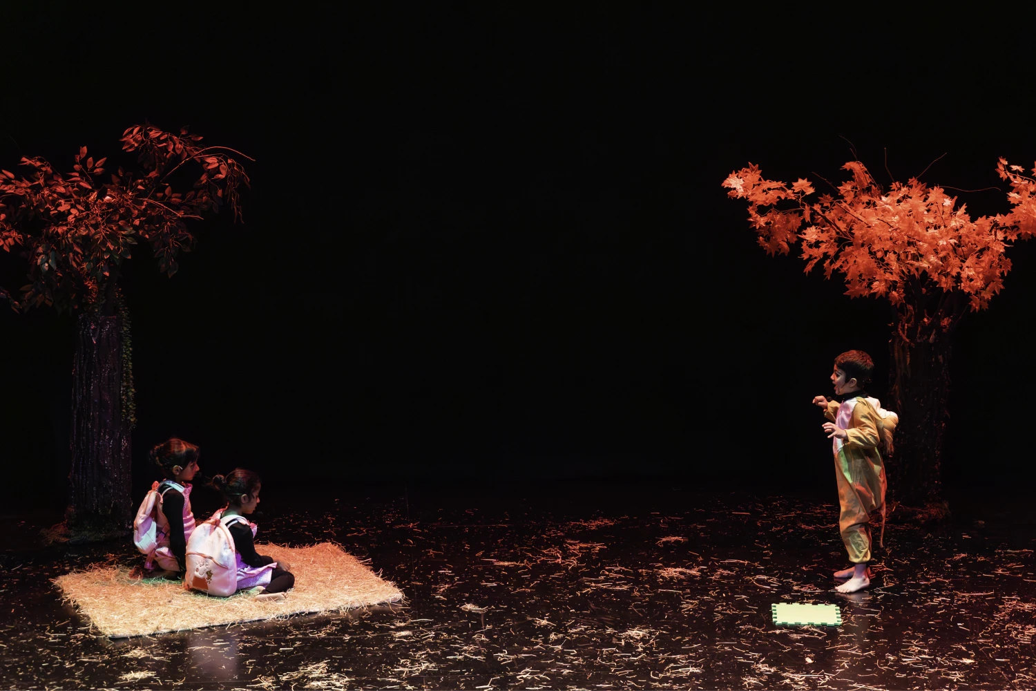 performances (5)