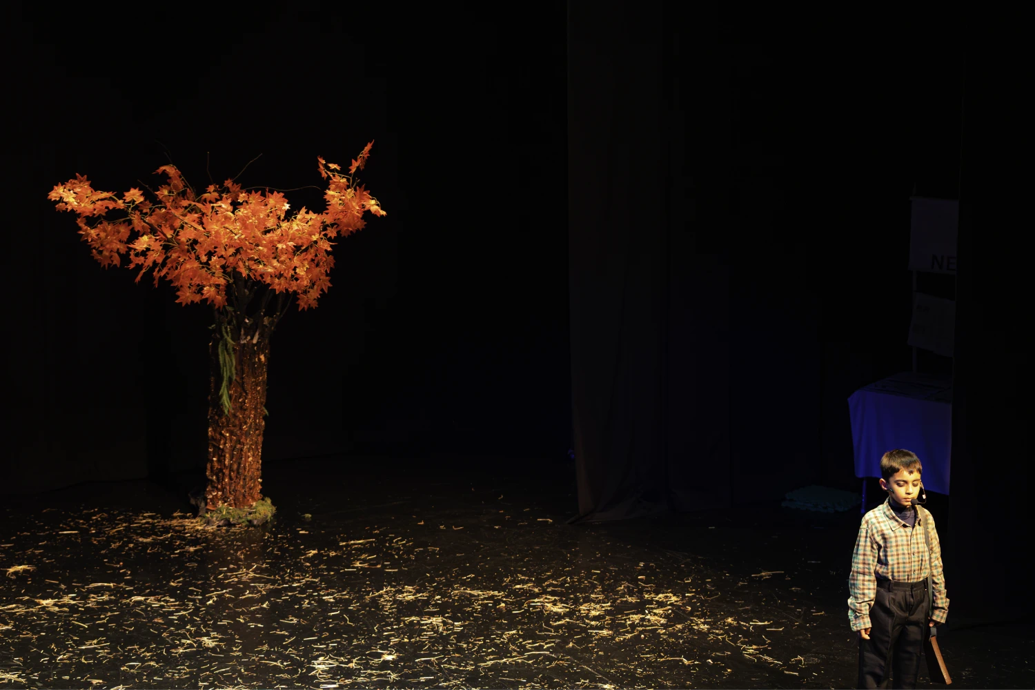 performances (7)